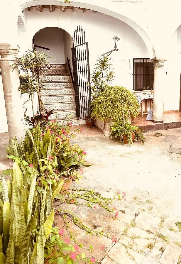 Duplex In Tarifa'S Old Town Apartment